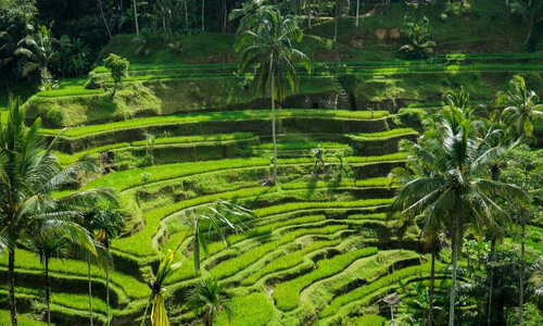 Bali Discover 10 Notti